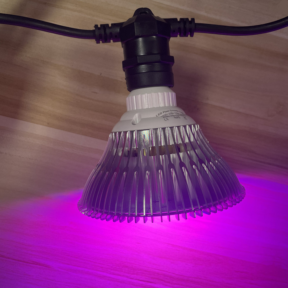سلسلة إضاءة LED بطول 10 أمتار، - مراجعة Outdoor Lighting Manufacturers وسعره