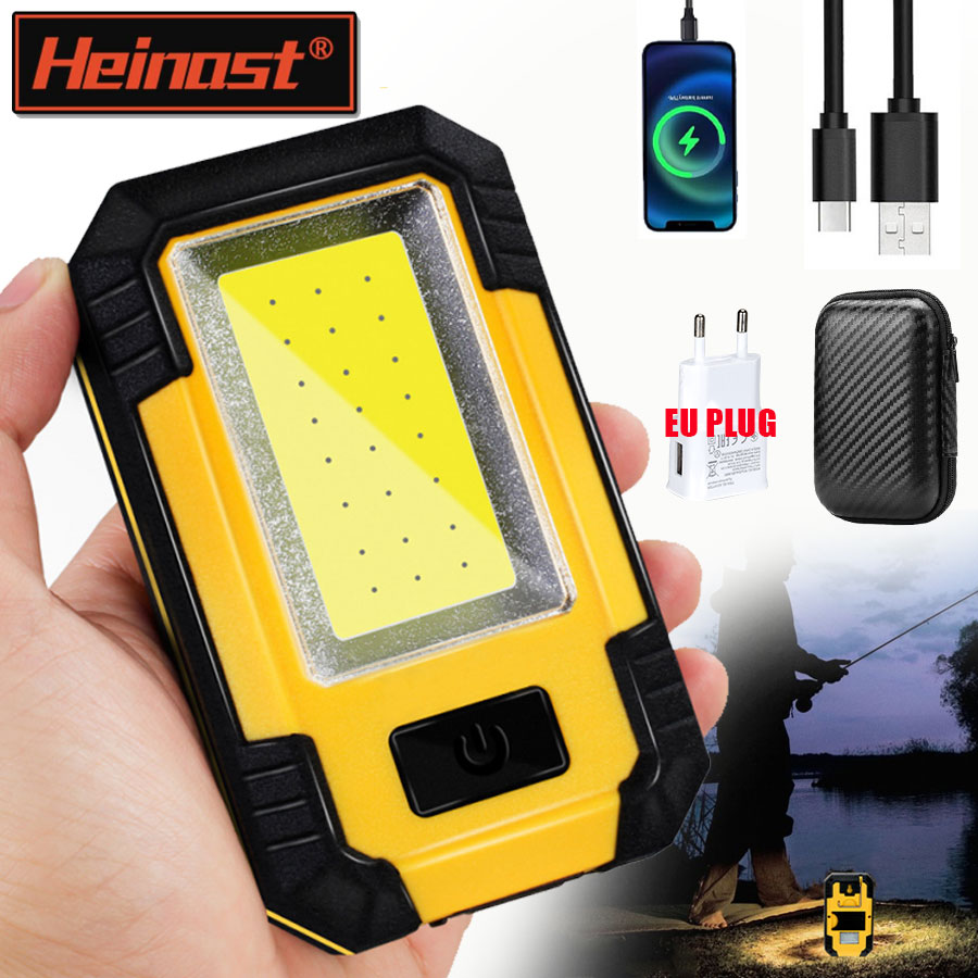 المحمولة 4000MAH قابلة للشحن ض - مراجعة Outdoor Lighting Bulbs وسعره